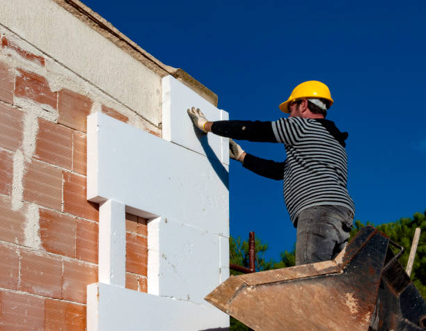 Best Energy Efficiency Solutions in Hohenwald, TN