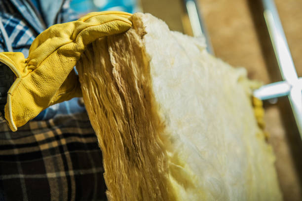 Best Insulation Installation Services in Hohenwald, TN